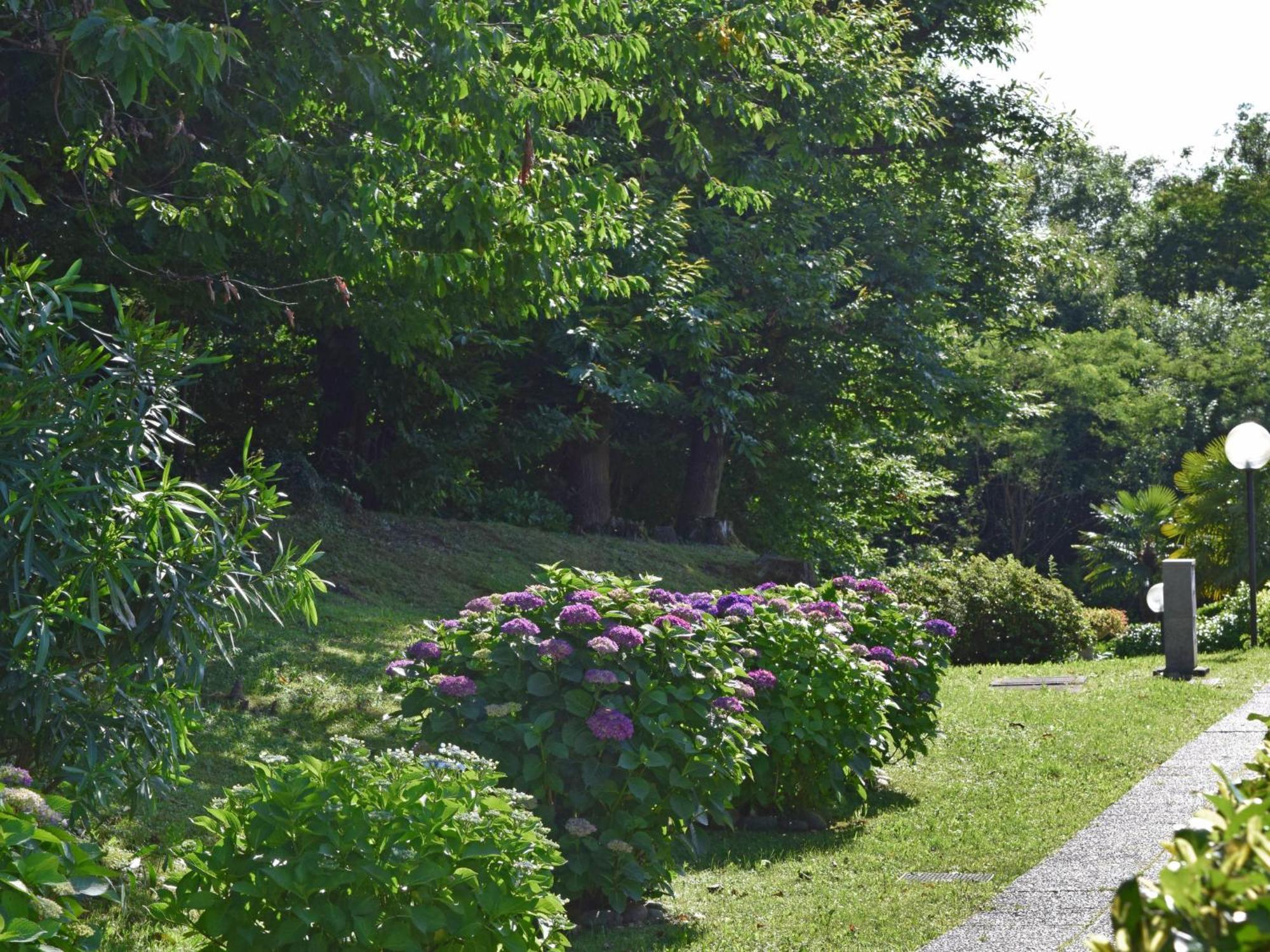 Apartment La Romantica By Interhome Brezzo エクステリア 写真